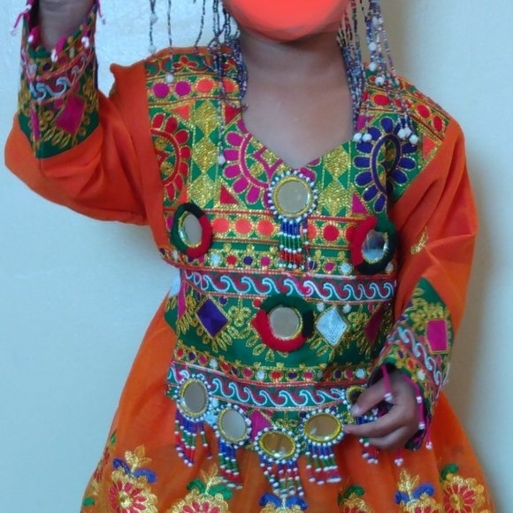 Vibrant Multicolor Embroidered Dress